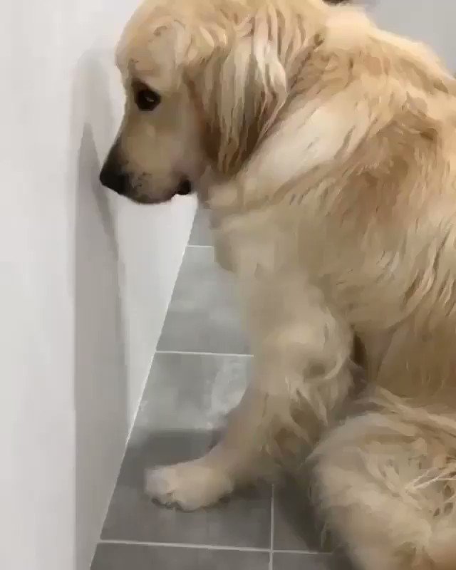 Someone’s guilty! 😂