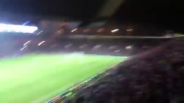 Celtic fans just can't get enough!