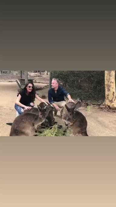 Soooooo.... Thai happened today!!!! Hanging with the kangaroos in Australia 🦘 https://t.co/hYLTgcTwX