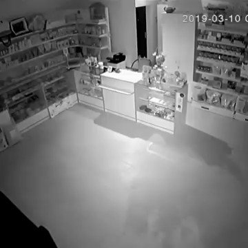 Дерзкое ограбление в Краснодарском крае!
Ночной грабитель ворвался в ветеринарный магазин и вынес 2 тысячи рублей, 3 килограмма кошачьего корма и когтеточку.