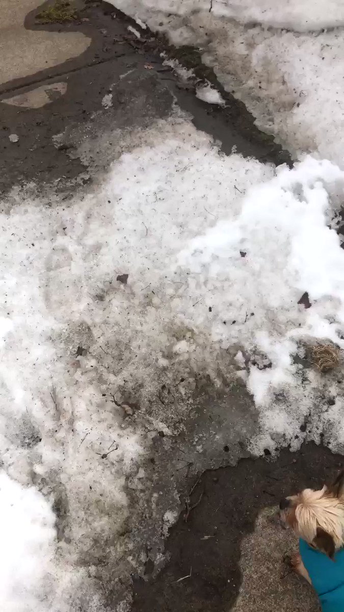 This snow pile was a little too big for Jake to handle on his own.