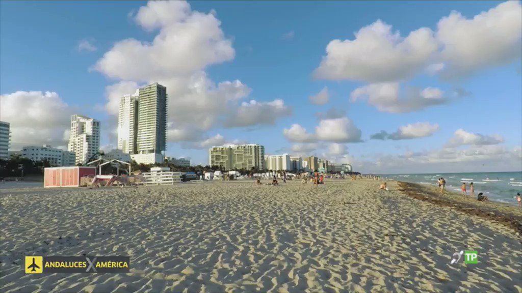 🔴 👩🏻✈👨🏽✈ ¡@AndalucesCSTV aterriza ya en #AxMiami! Acompáñanos a conocer las historias de #RocíoSañudo, #JuanCarlosPereira, #ÁlvaroOrtega y #CarmenSalado. #AndalucesXAmérica
#EnDirecto 📡http://csur.red/JEuw30mprpk
⌚21:35 h. #CanalSurTV Más info.ℹ http://csur.red/NjW730nZLId
