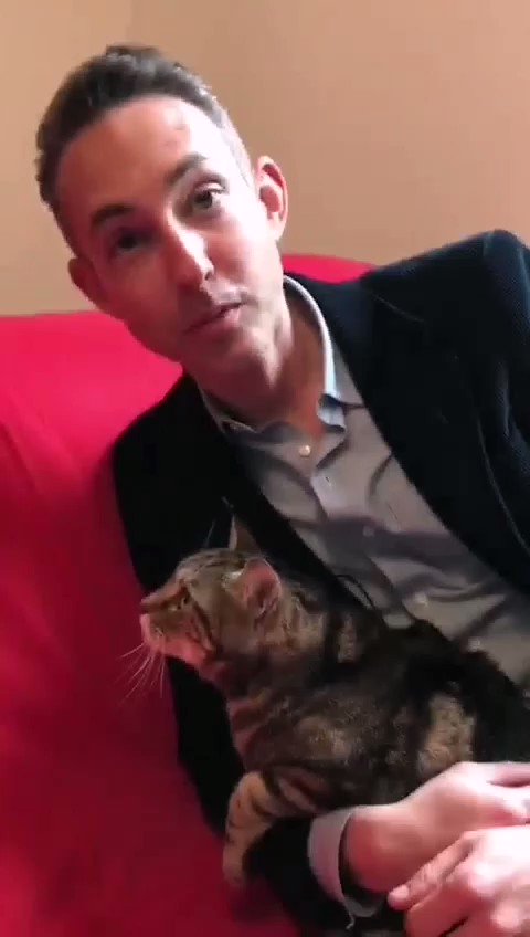 Bonjour @ThomasSotto & @LeaSalame, hier sur France 2 vous avez fait la promotion de Marine Le Pen et de ses chats.
Comme vous refusez de nous inviter, je vous le dis : nous aussi nous avons des chats, et des idées à défendre lors du débat sur les européennes. #PasSansNous !
