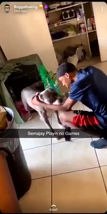So this dumb ass nigga had the audacity to post this shit. This shit is not cool at all on any type of level, and these niggas just sitting there laughing.But niggas be so quick to pull a gun when a man steps to them. This shit is sad and needs to be stopped!