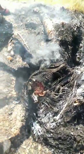 @MichaelleJeanF Please take a look at what is happening in Haiti after years of UN and US military presence. Cannibalism! This is not happening in Venezuela