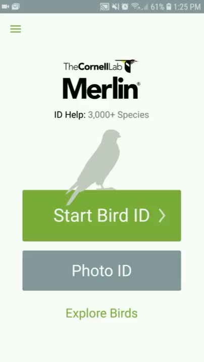 Spring is coming and @MerlinBirdID can help you know what birds to expect near you. It's a super handy feature especially when birds start moving or you are in a unfamiliar area. Watch this quick video to learn how.
@Team_eBird #birding #birdyourworld #birds #birdID