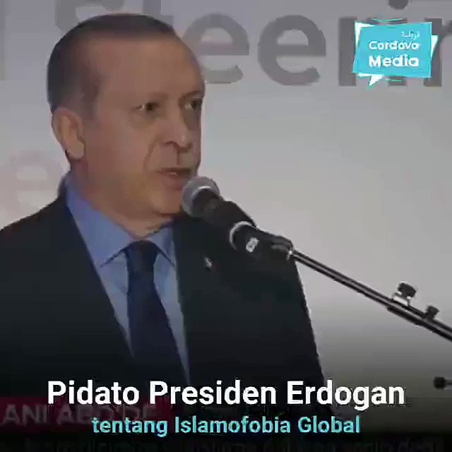 Embedded video