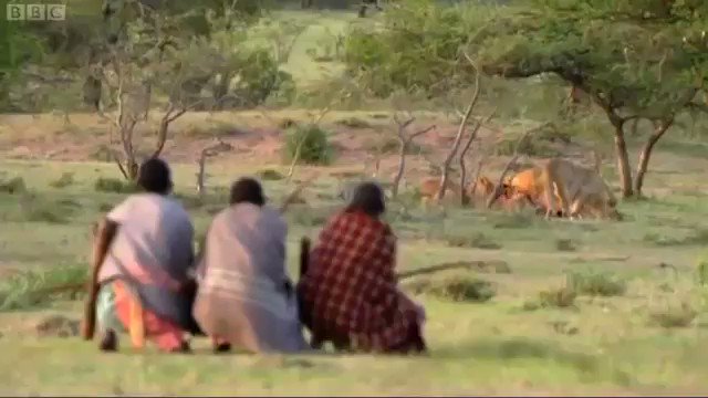 Kenyans are alpha af. One minute they are chasing a Cheetah till it gets exhausted, the next they are stealing meat from a pack of Lions.