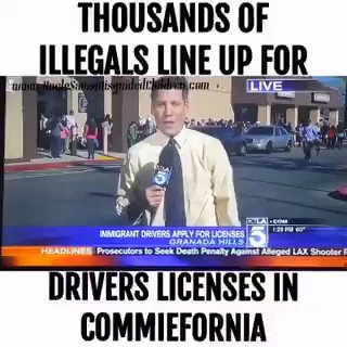 Thousands of illegals line up for a driver's license in Commiefornia!
California has become a criminal State.
An illegal said, " This is a wonderful day for our community. We finally see justice..."
So many things wrong with THAT STATEMENT!