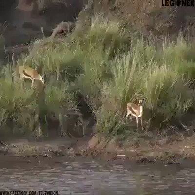 ุงููุง ุงูุฃู
ูุงุณุงุฏุฉ
ุงูุงู
ู
ูุฎุชุตุฑ ููู ุงููุนูู
ูุงูููู
ู ูุนูู
ูุง ูุง ูููุฐ
#ุนูุฏุงูุงู