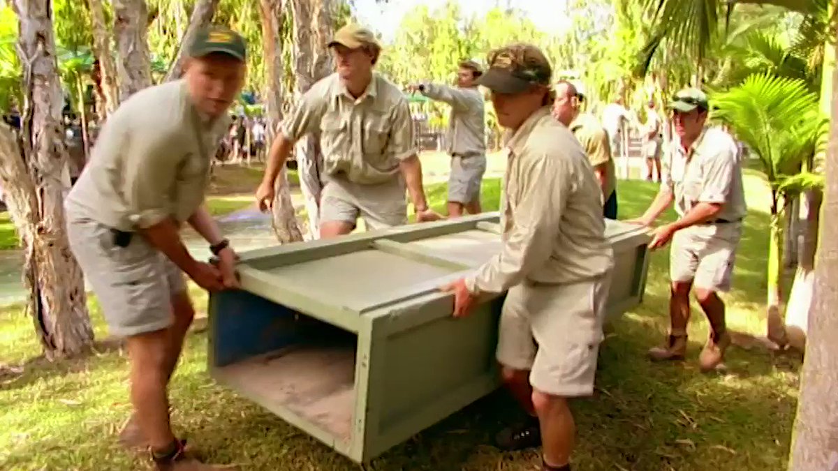 Tomorrow @AustraliaZoo weโre opening early at 8:30 so you can join us to move our largest croc to his new pond. We learned from the best!
