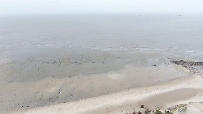 V&iacute;deo incorporado