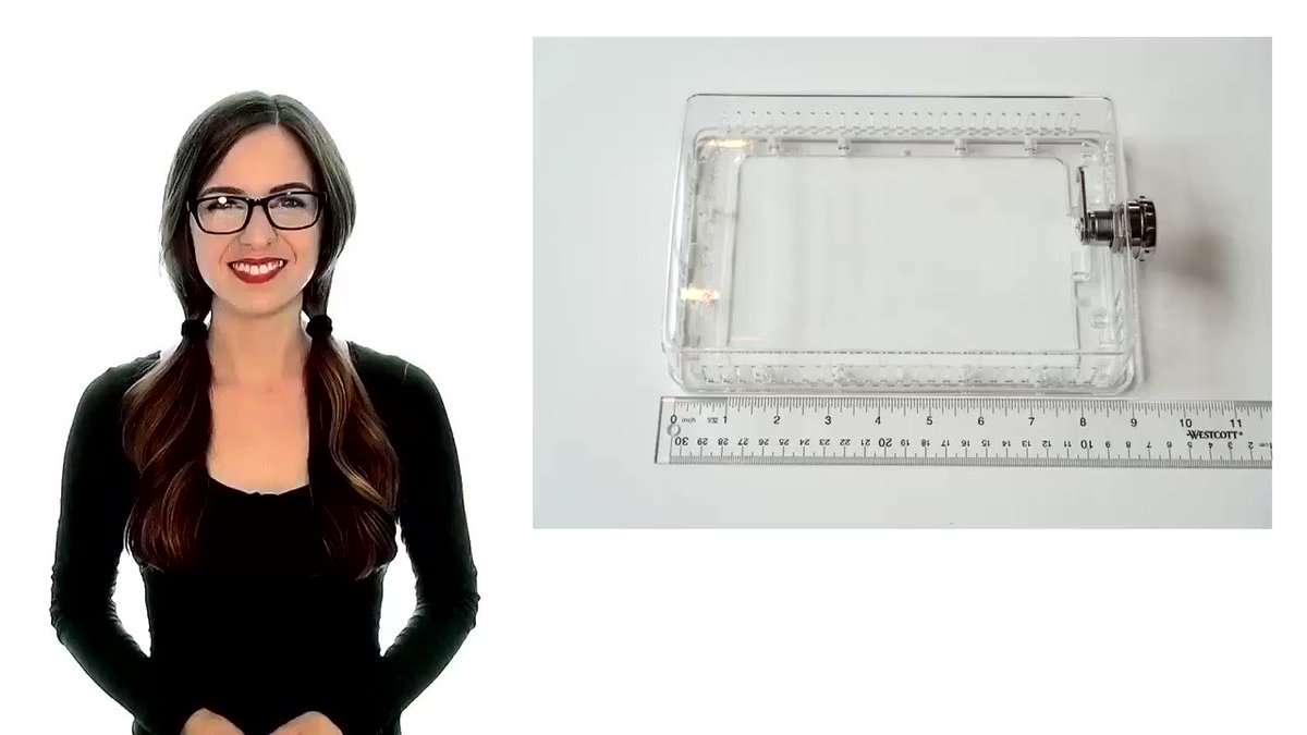 Save money! #HomeDepot #workingwomen #moms #dads #winter #snow #ice #officelife #green #climate #homelife #HomeEconomics #facilities #SmallBiz #SmallBusinessSaturday #convenience #retailproblems #listenlive #bingeworthy #Winter