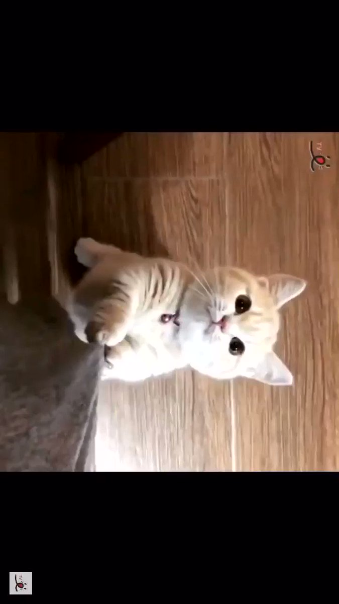 おはようございます❤️