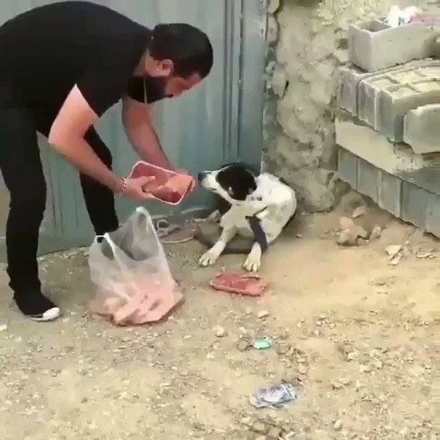 Kindness Matters. We Need More Men Like Him.
