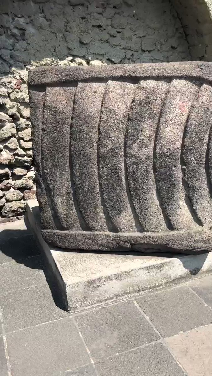 Un ejemplo de la reutilización de las antiguas esculturas mexicas durante los primeros años de la colonia. En este caso una cabeza de serpiente fue transformada en una base octagonal de una columna para la primitiva catedral de la #CDMX, demolida en 1626-27
