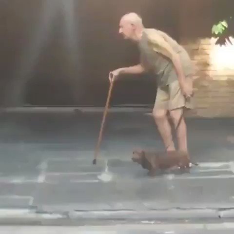 This dog shows his love for his beloved through loyalty and patience🐶❤