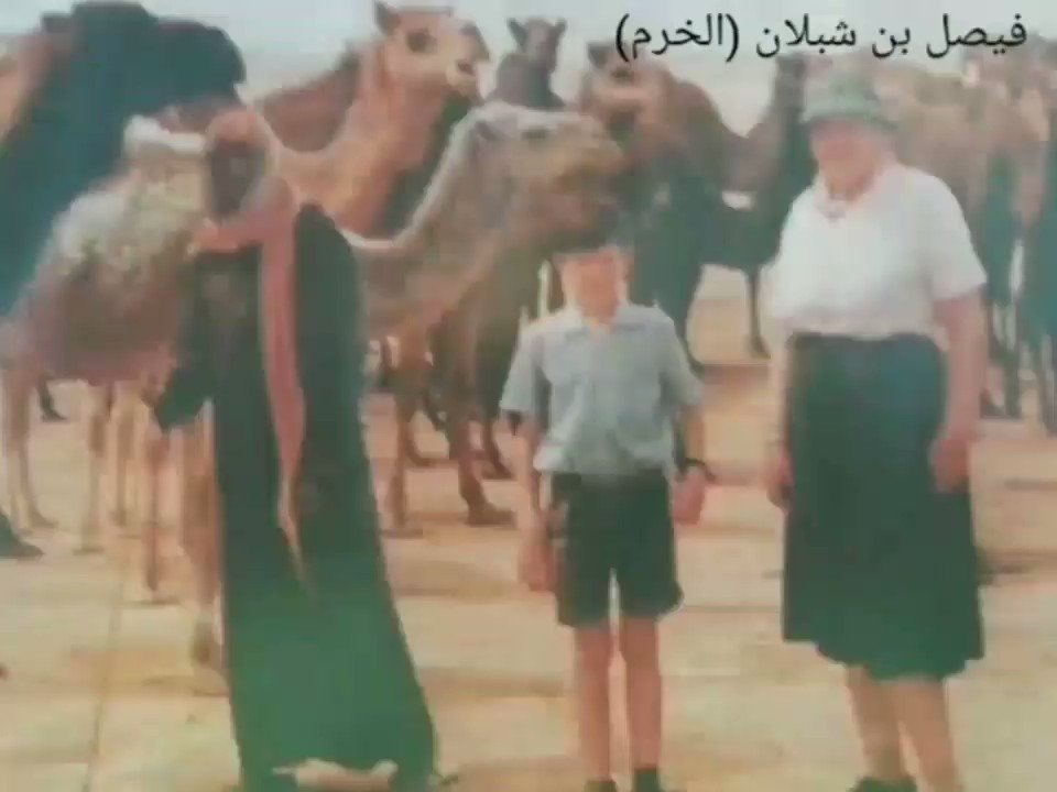 ⚡️ بيان عدة نقاط ⚡️
*#رمان الجبعاء ولد نوضان كسب فيصل بن شبلان من السندي شمر قبل ام رضمه،
وليس ولد عبدان،
*بعير العونه من الملك عبدالعزيز والمعرقب ليس وكيلها بل الوكيل فيصل بن شبلان
إلى أن توفى عام ١٣٧٢وخلفه ابن أخيه مسير بن فراج واخذ سنه حتى وفات الملك عبدالعزيز رحمه الله ١٣٧٣.