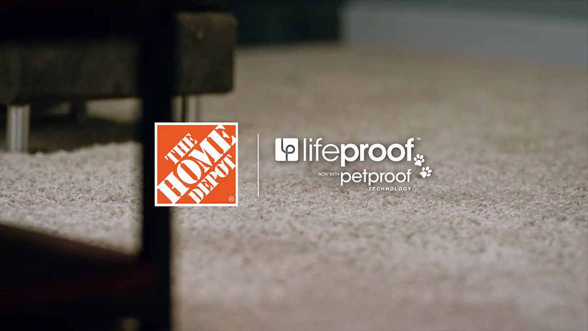 Lifeproof with Petproof Technology Carpet is engineered to handle any pet, any stain. Shop now: https://thd.co/2XqWWA7