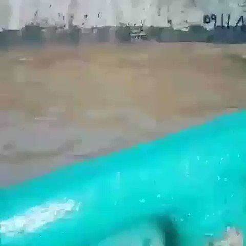 Embedded video