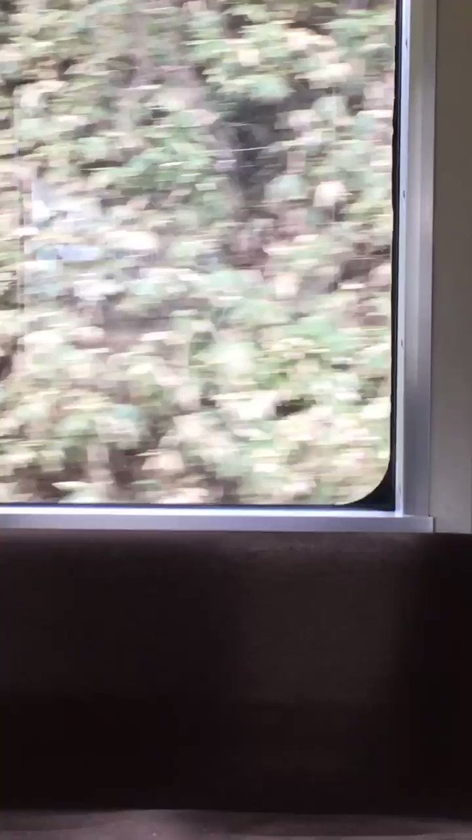 みんみん🌟 (@minxmin_) / Posts and Replies / X