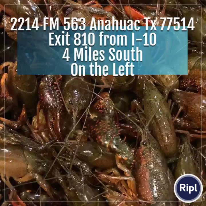 #AnahuacCrawfishExpress
#FreshLiveNICELouisianaRedCrawfish
#Crawfish
#Party
#SpringTime
#Seafood
#CrawfishBoil
via http://ripl.com