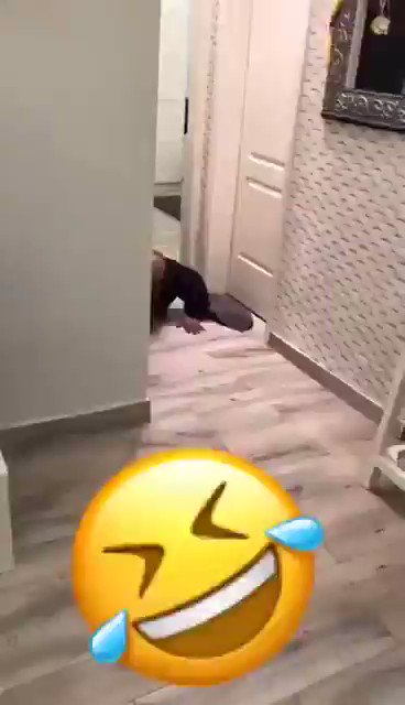 جاكم العويشير ياطائية🤪