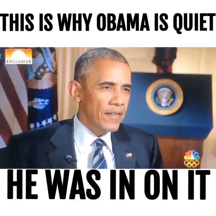 This video is being censored and they have made it really hard to find and download. This is the reason Obama has been super quiet. He was part of the coup against our President @realdonaldtrump