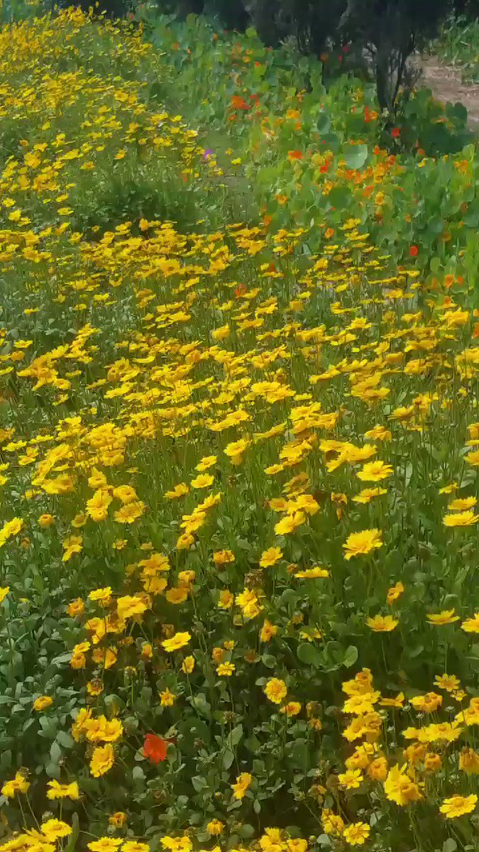 Wishing "You" With Love
Happy New Week
May All Good Things Come Your Way.
May Peace & Success Surround You.