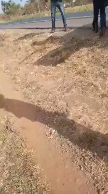 Embedded video
