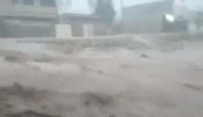 Embedded video