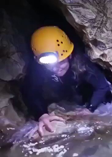 Ancient New Zealand caves are filled with bioluminescent glowworms