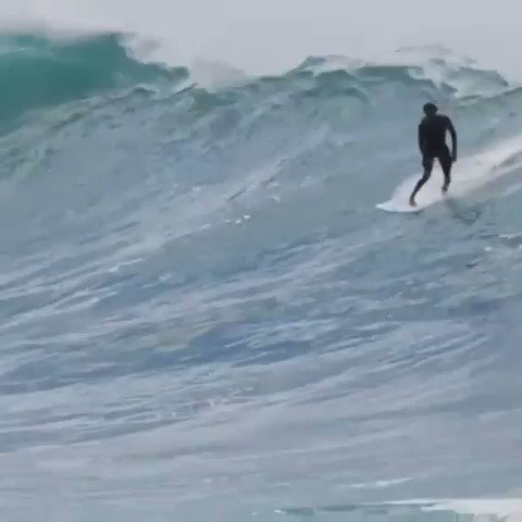 Jumping into the work week like…
🏄♂️: Dante Silva 🎥: Tim Reardon