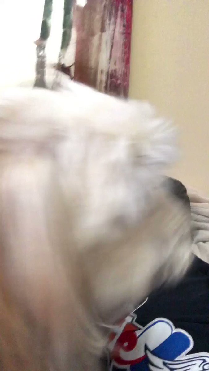 if u not this happy to see me I dont want u