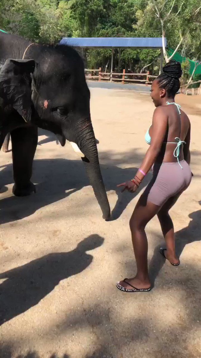 I made a new friend in Thailand today! His name is Phoobi💛 he was rescued from a circus and brought to a Retired Elephant Sanctuary. His caregivers say that he likes to dance to Rap Music so I had to battle him! 😂