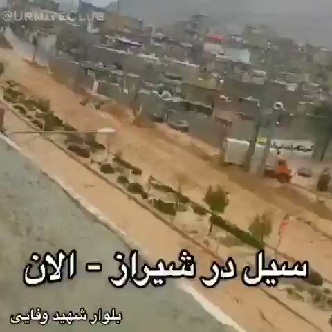 Embedded video