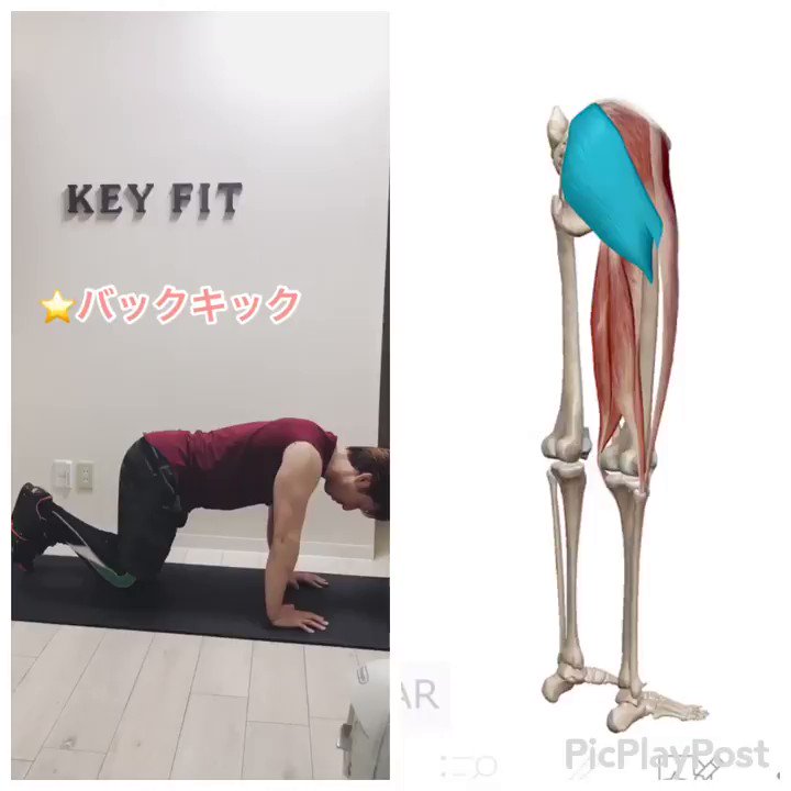 お尻が垂れてきたと感じている人必見！簡単にできるトレーニング方法！！