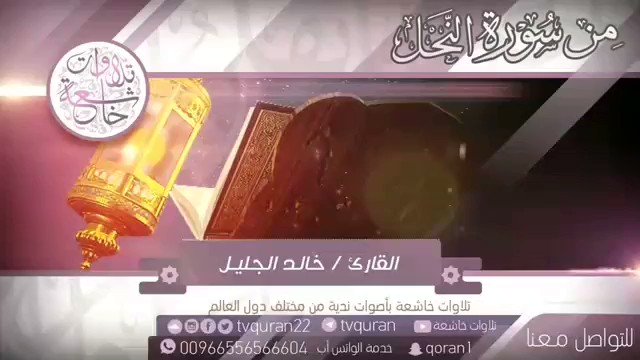 ═༻ #تلاوات_خاشعة ༺═•
❖ 🎧 أسمع بقلبك يا أخي وتذكرنا بدعوة
👤 القارئ #خالد_الجليل
التلاوة كاملة | 🎥 |
https://youtu.be/XMLjNA3anPU