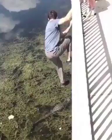 me ha dado un mini infarto