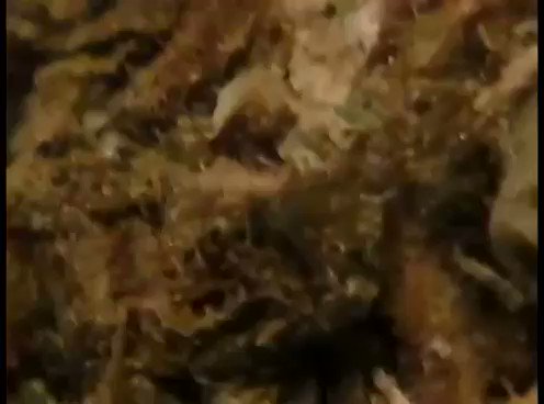 Surprising news
The medicine which can cure cancer!
Watch this video (Medical VS Street Marijuanas)
and visit
http://www.eshopmarijuana.com for further details. Check it out now!
#WeedLover #WEEDSTOCKS #cannabisculture #cannabisstocks #CannabisNews #MedicalMarijuana
#MedicalCannabis