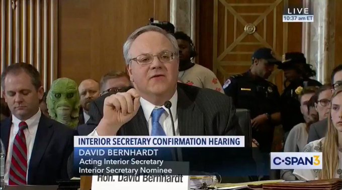 Ενσωματωμένο βίντεο