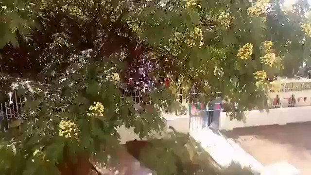 Embedded video