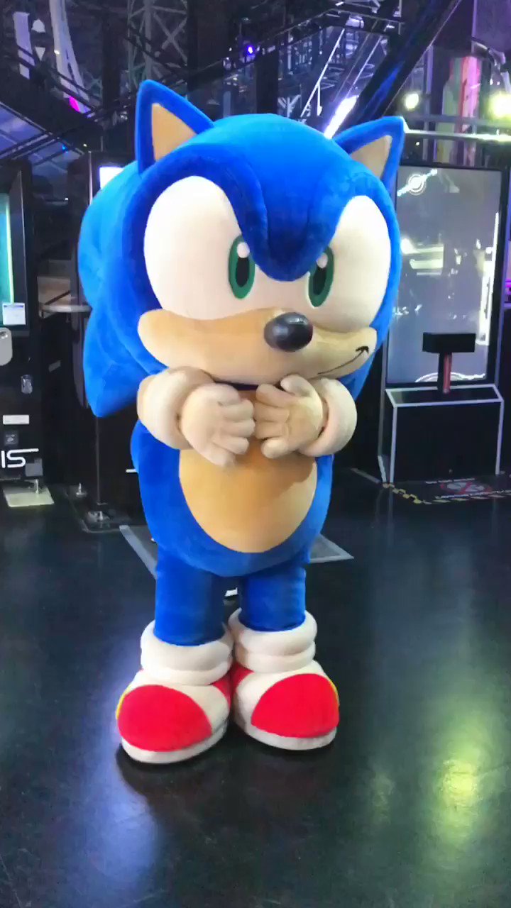 SEGA FREAKS 横浜ジョイポリス ソニック等まとめ売りの通販 by