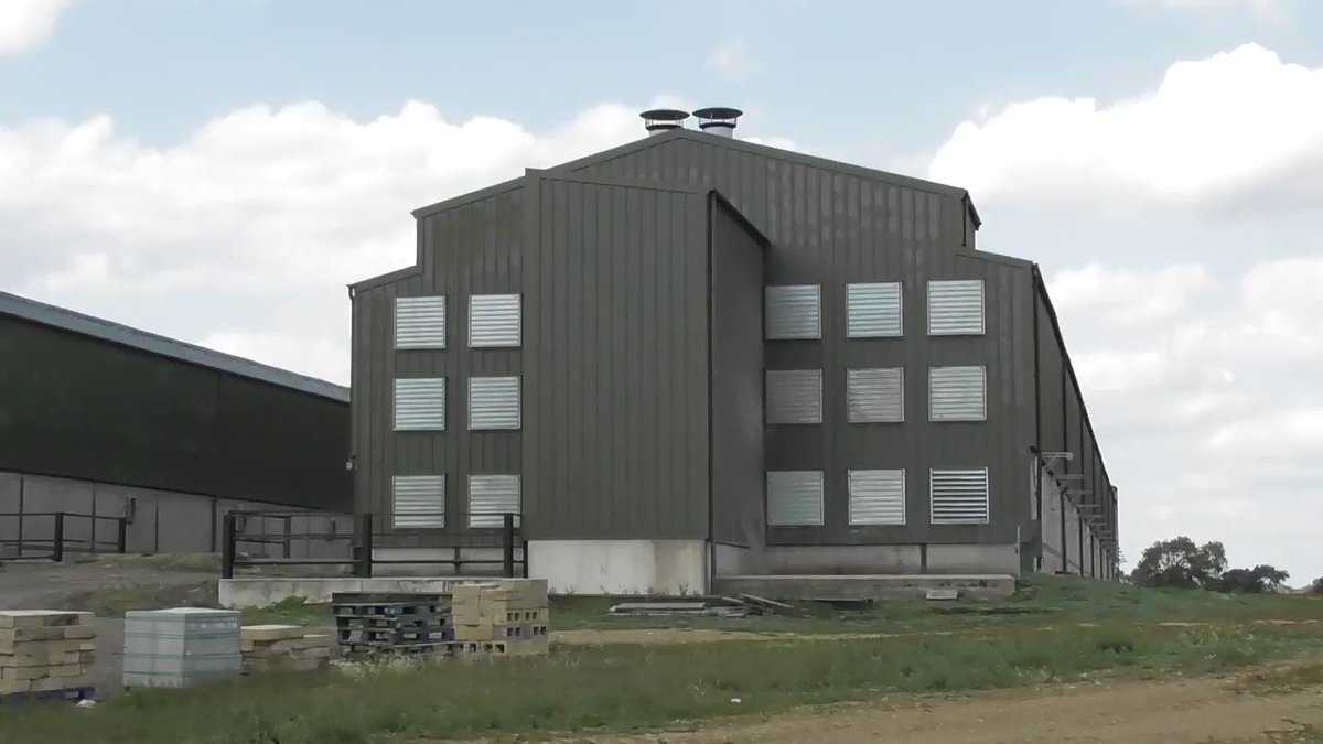These sheds supply Big & Fresh, owned by Noble Foods. A place that passes biosecurity, RSPCA, FSA regulations. But we saw the horror & reality when we entered.
https://tinyurl.com/y3ls8ehm
Support our work
http://www.patreon.com/savingmevegan
https://paypal.me/savingmevegan