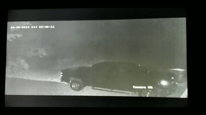 Embedded video