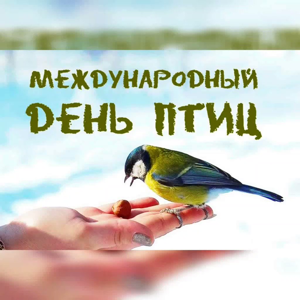 Поздравление с днем птиц картинки стихи