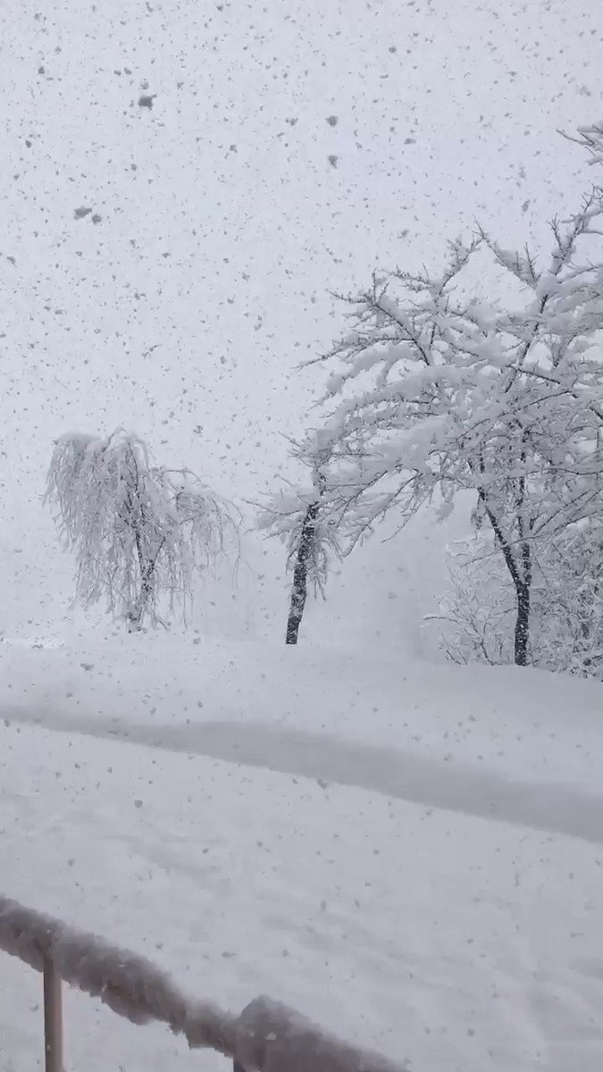 魚沼市!!春なのに雪❄どうゆうこっちゃ～、寒そう?