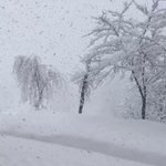 魚沼市!春なのに雪❄どうゆうこっちゃ～、寒そう?