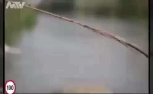 هذه #النملة كانت في كربة ففرج الله كربتها سبحانه
فلا تقلق سيفرج الله كربتك من حيث لا تعلم وهو ارحم الراحمين...