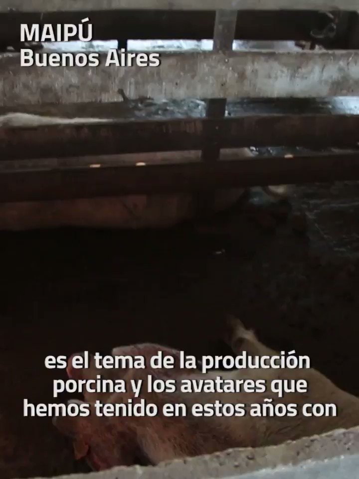 molino de soja más indefenso